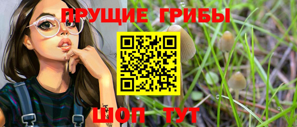 Галлюциногенные грибы GOLDEN TEACHER  Вход с VPN  что такое   Зеленокумск 