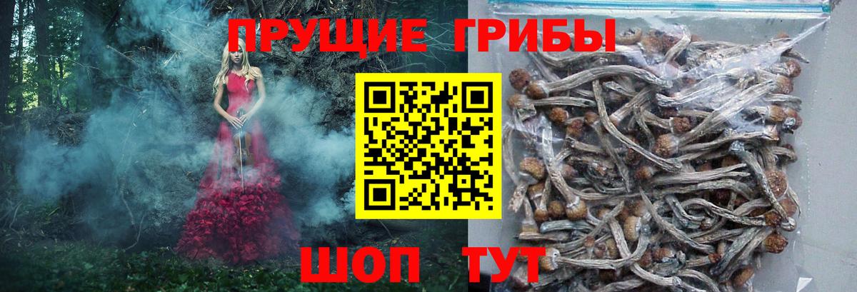 Галлюциногенные грибы мухоморы Зеленокумск
